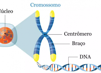 DNA