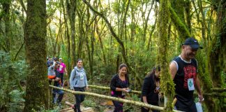 Caminhada Internacional na Natureza