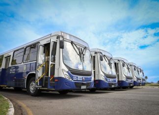 Confira como será a operação do Transporte Coletivo Municipal durante os feriados de novembro